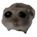 00sadhamster